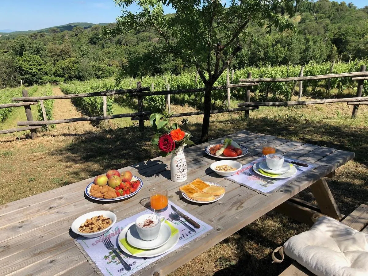 Alloggio per agriturismo Agriturismo Oliviera Vagliagli