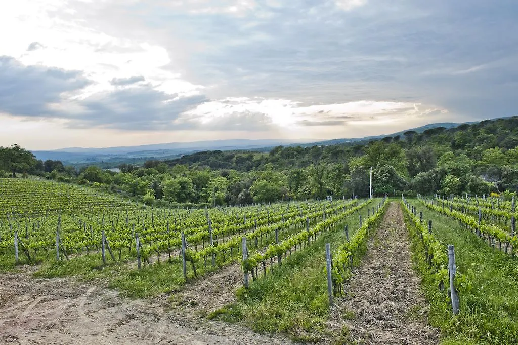 Agriturismo Oliviera Winery Vagliagli Italy