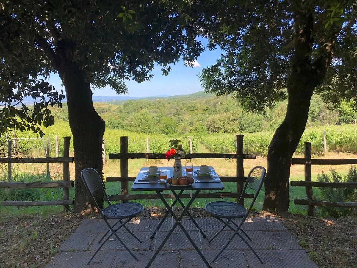 Agriturismo Oliviera Winery Vagliagli Farm stay