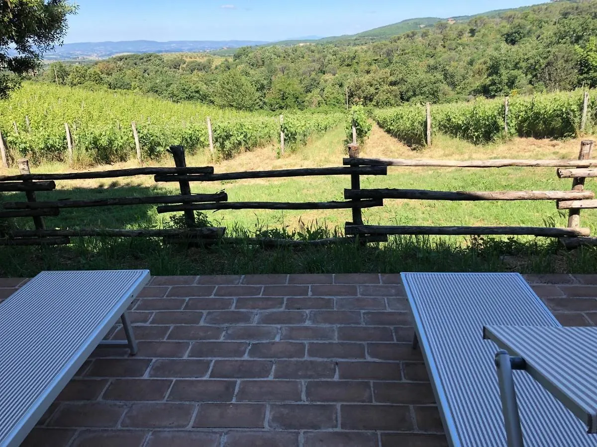 Farm stay Agriturismo Oliviera Winery Vagliagli