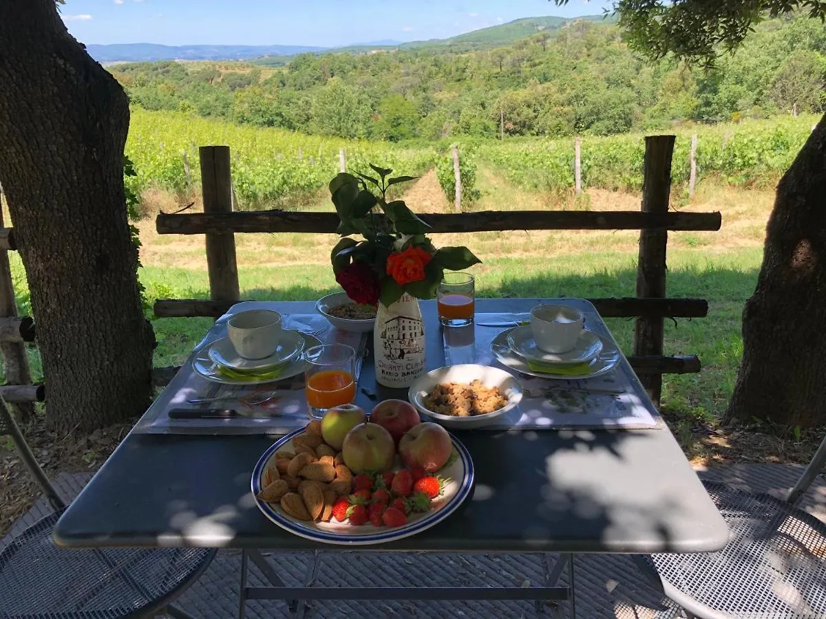 Agriturismo Oliviera Winery Vagliagli Italy