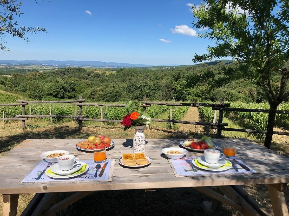 Farm stay Agriturismo Oliviera Winery Vagliagli
