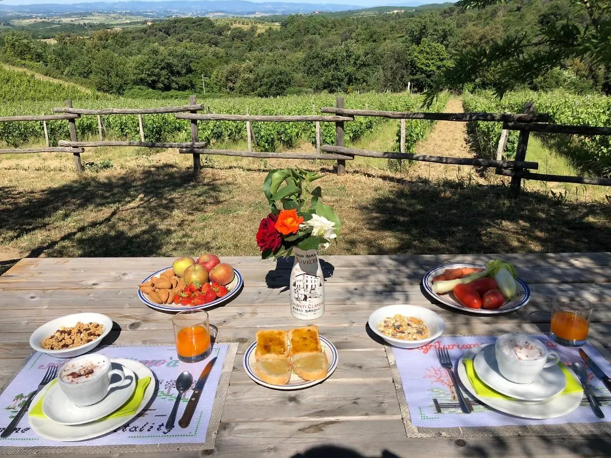 Agriturismo Oliviera Winery Vagliagli Italy